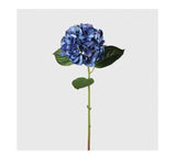 Blue Real Feel Hydrangea