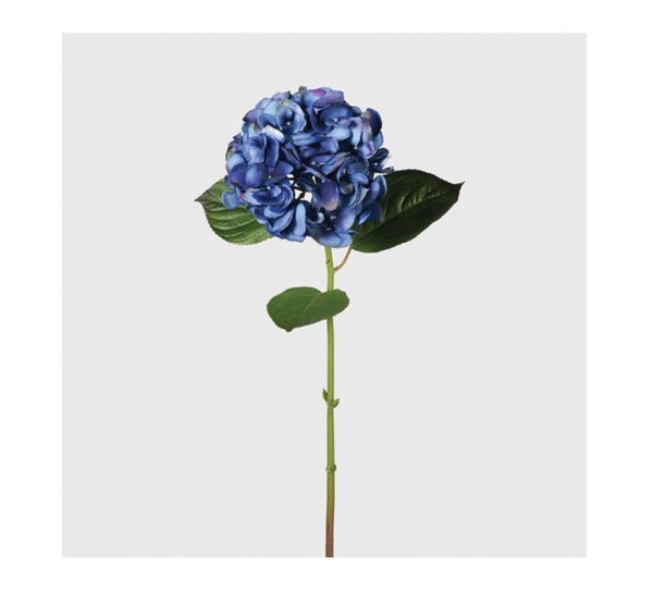 Blue Real Feel Hydrangea