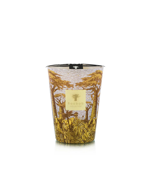 Baobab- Scared Tree Cocody Candle- Max 24
