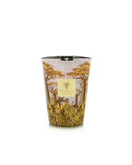 Baobab- Scared Tree Cocody Candle- Max 24