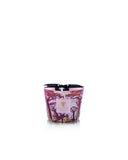 Baobab- Scared Tree Massasso Candle- Max 10