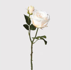 Pale Peach Vendela Rose  Spray with Leaves