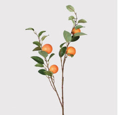 Orange Spray with Leaves