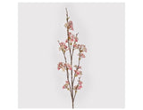Pink and Cream Cherry Ruffled Blossom Spray