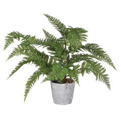 Green Bracken Fern Artificial Plant & Cement Pot Grey