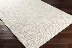 Textured Ivory Rug