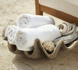 Giant Clam Shell